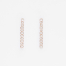 ONE small earrings